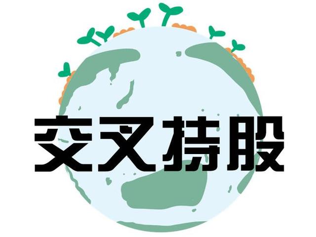 交叉持股安排设计(交叉持股怎么计算持股比例)济南市